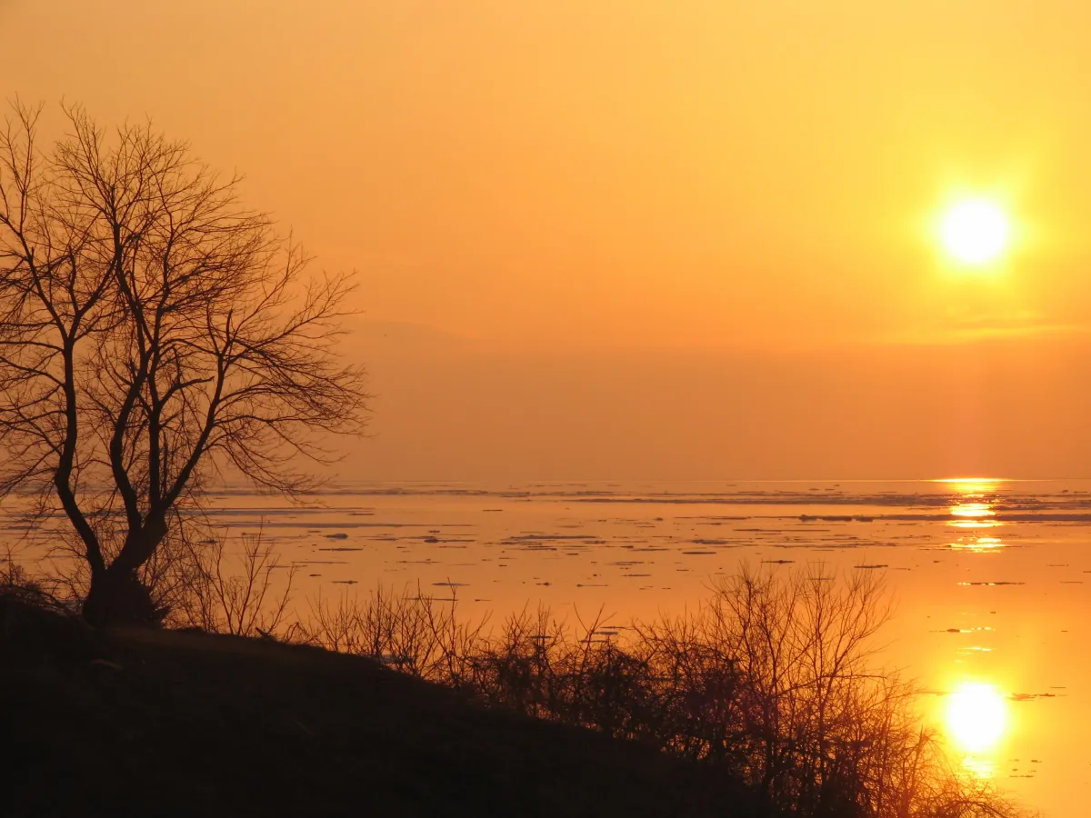 Being and Somethingness