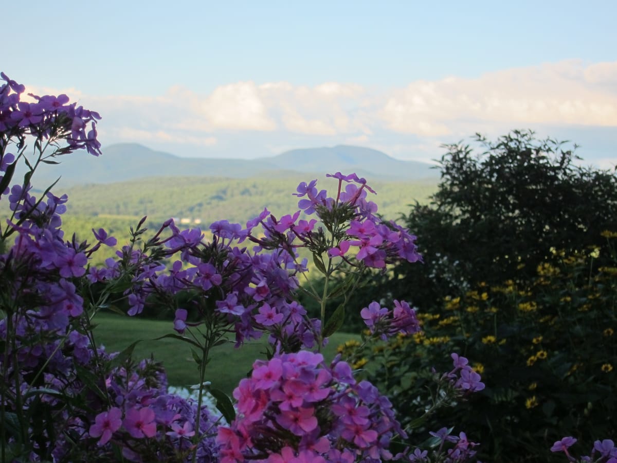 Is Rice Pudding Taller Than a Sense of Shame?